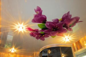gallery 38 3338